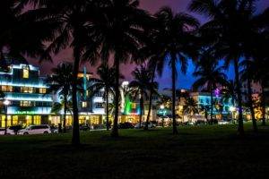palm trees, South Beach, Miami, Florida
