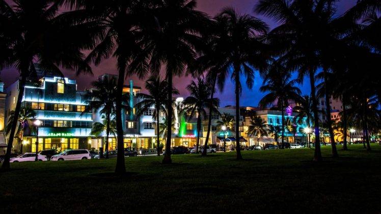 palm trees, South Beach, Miami, Florida HD Wallpaper Desktop Background