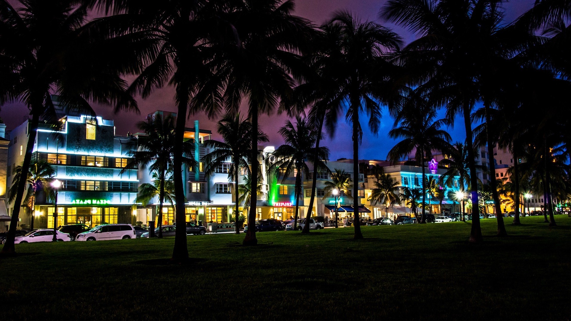 palm trees, South Beach, Miami, Florida Wallpaper