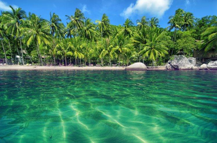 palm trees, Water, Beach HD Wallpaper Desktop Background