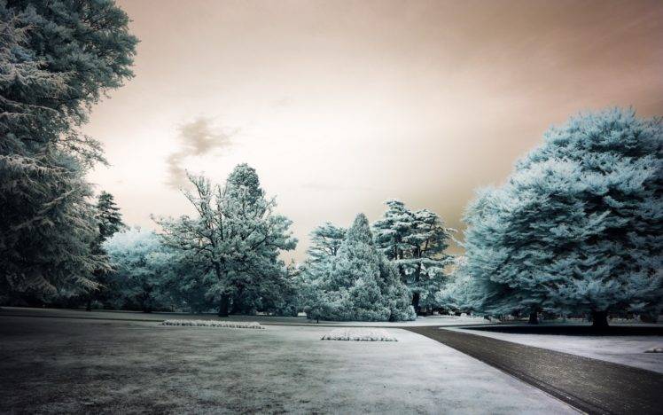 landscape, Winter, Snow, Trees, Park HD Wallpaper Desktop Background