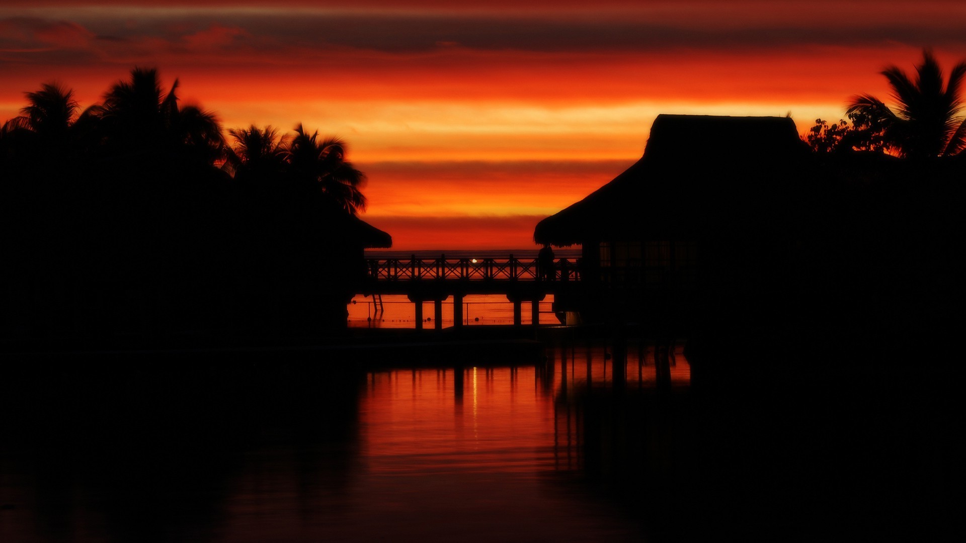 sunset Wallpaper