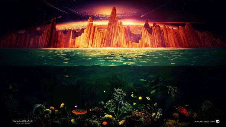 Desktopography, Split view, Cliff, Fish, Sea, Turtle HD Wallpaper Desktop Background