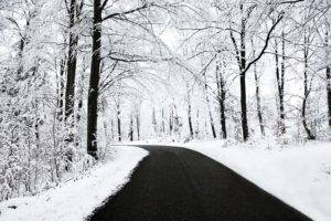 forest, Road, Snow