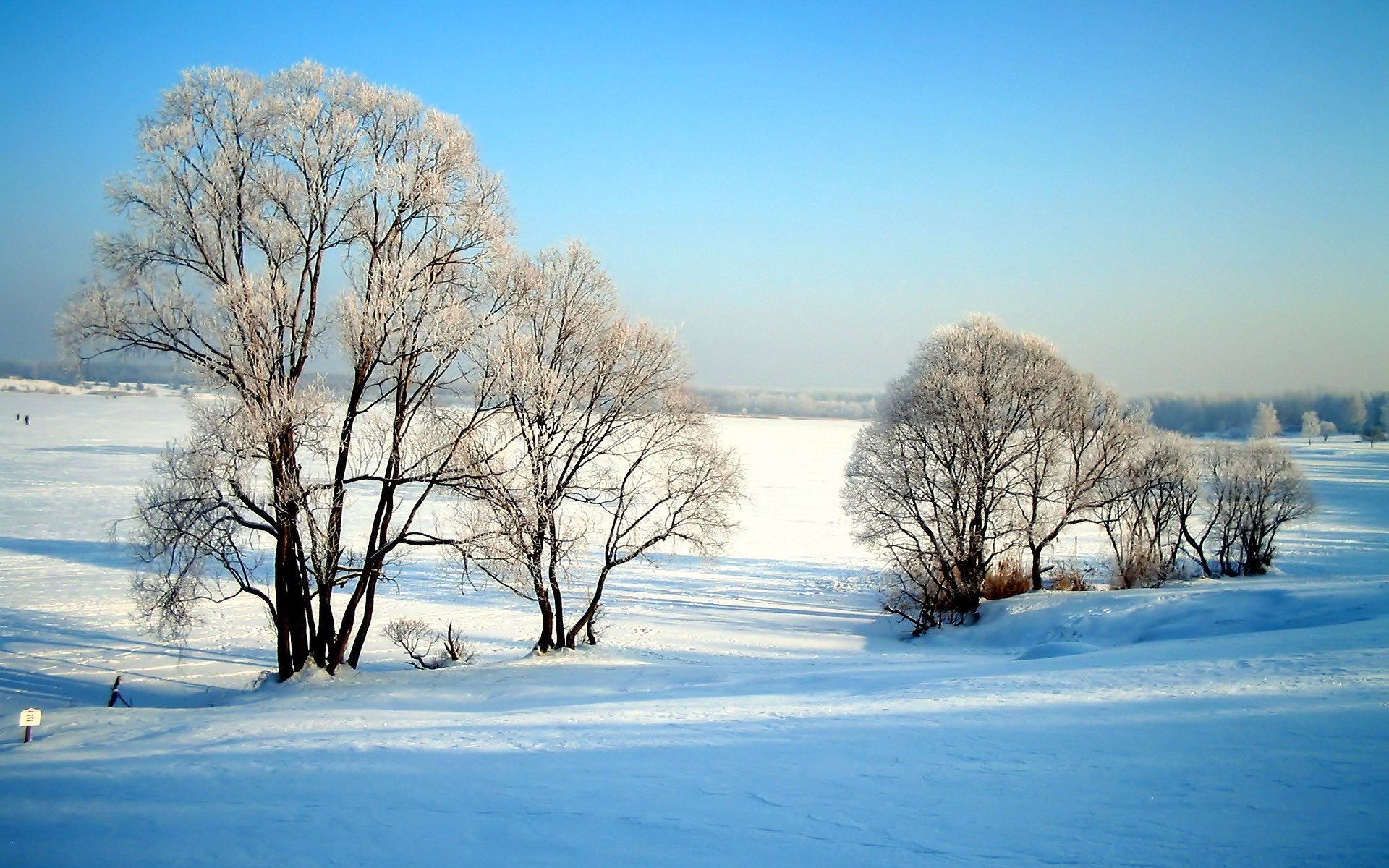 winter, Snow Wallpaper