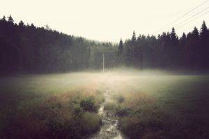 mist, Power lines, Stream, Field, Forest, Overcast