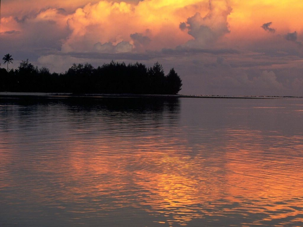 sunset Wallpaper