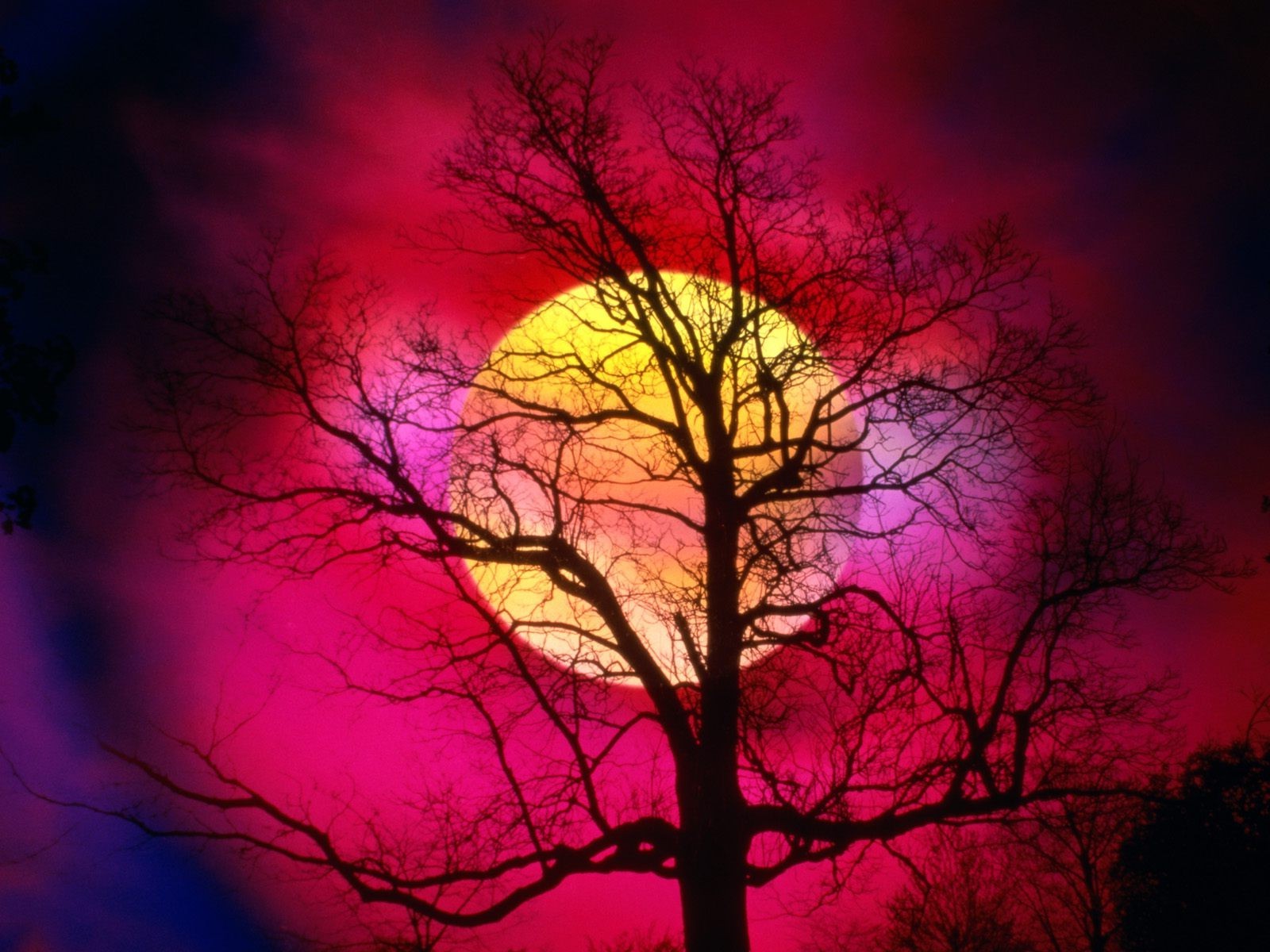 sunset Wallpaper