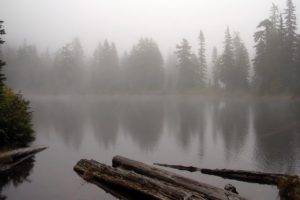 mist, Wood, Water, Nature, Reflection