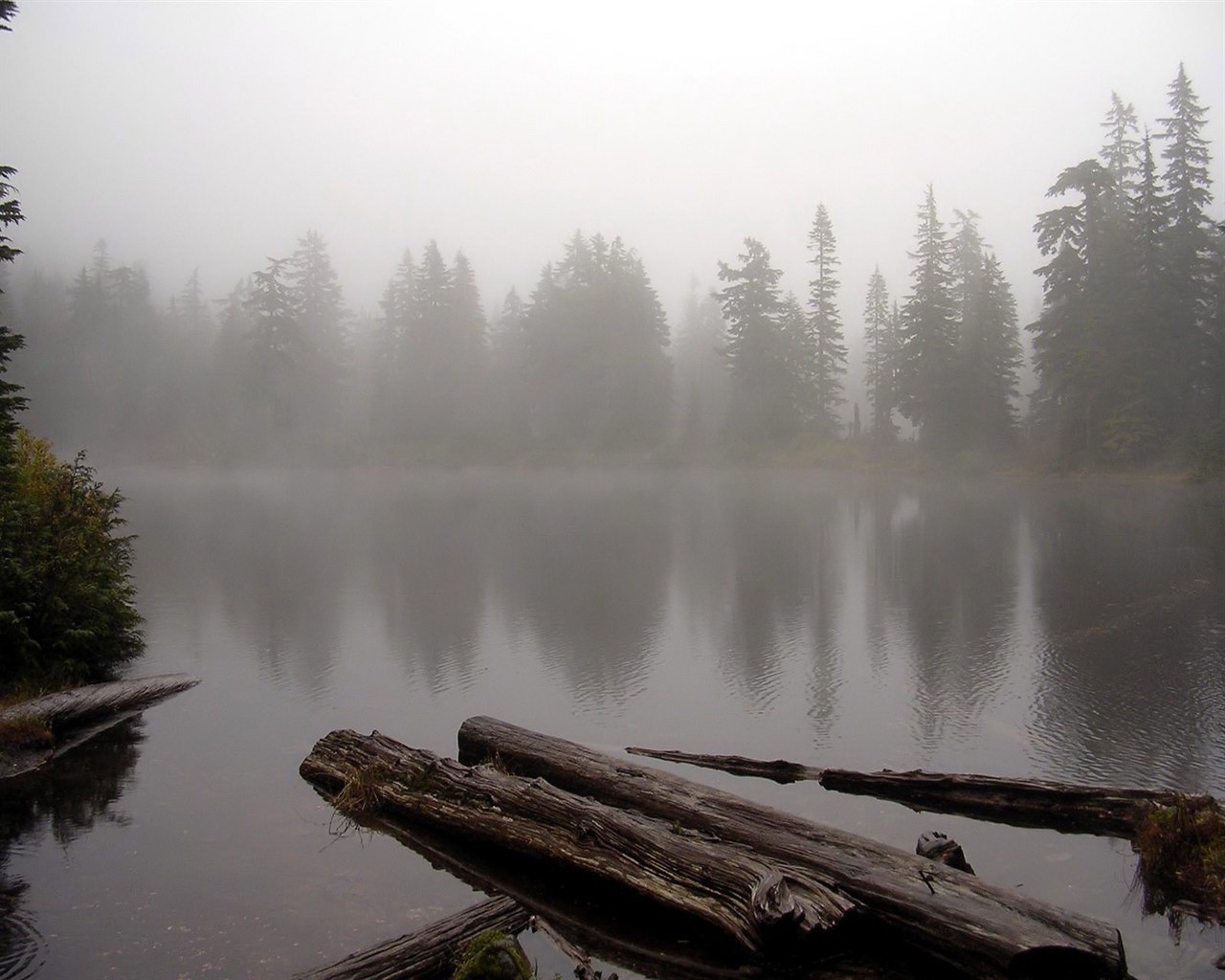 mist, Wood, Water, Nature, Reflection Wallpaper