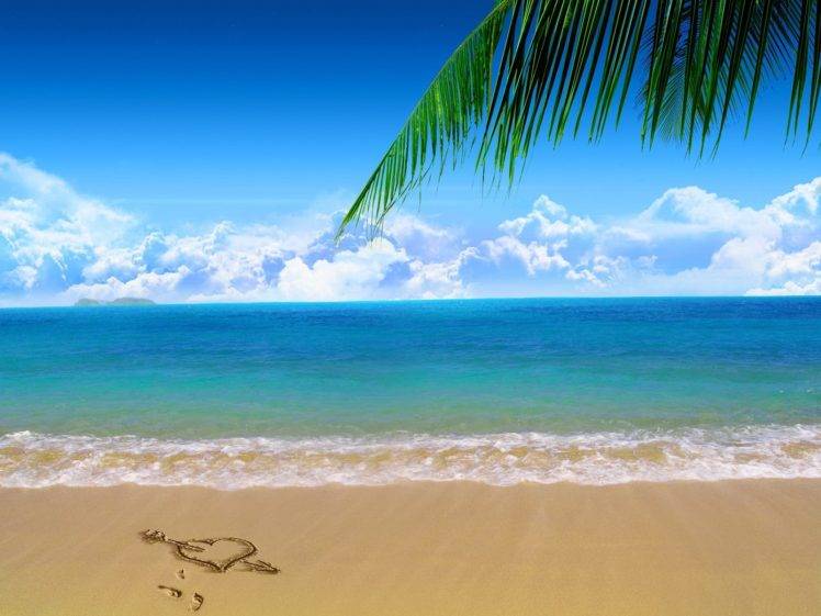 island, Sand, Beach, Palm trees, Sea HD Wallpaper Desktop Background