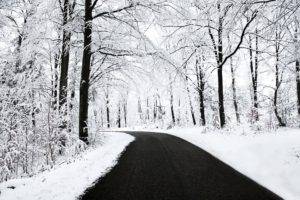 winter, Snow, Road, Trees