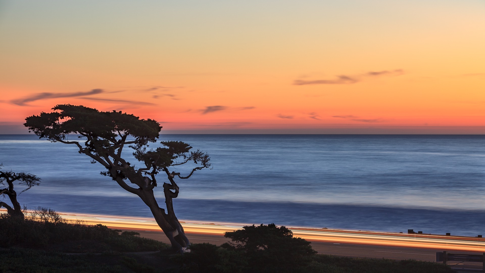 beach, Sunset, Long exposure, Trees, Minimalism Wallpaper