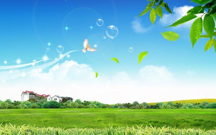 field, Sky, Bubbles, Birds, House HD Wallpaper Desktop Background