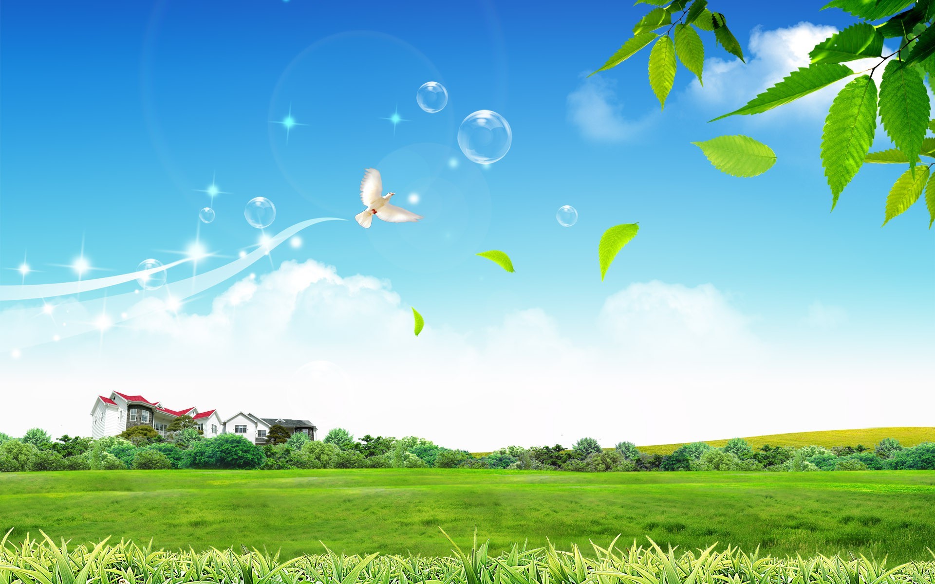 field, Sky, Bubbles, Birds, House Wallpaper