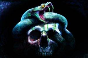 skull, Artwork, Neverwinter Nights, Neverwinter Nights 2: Storm of Zehir