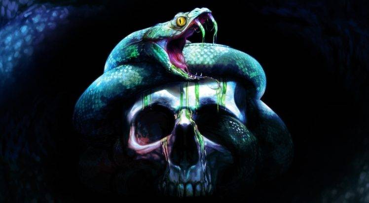 skull, Artwork, Neverwinter Nights, Neverwinter Nights 2: Storm of Zehir HD Wallpaper Desktop Background