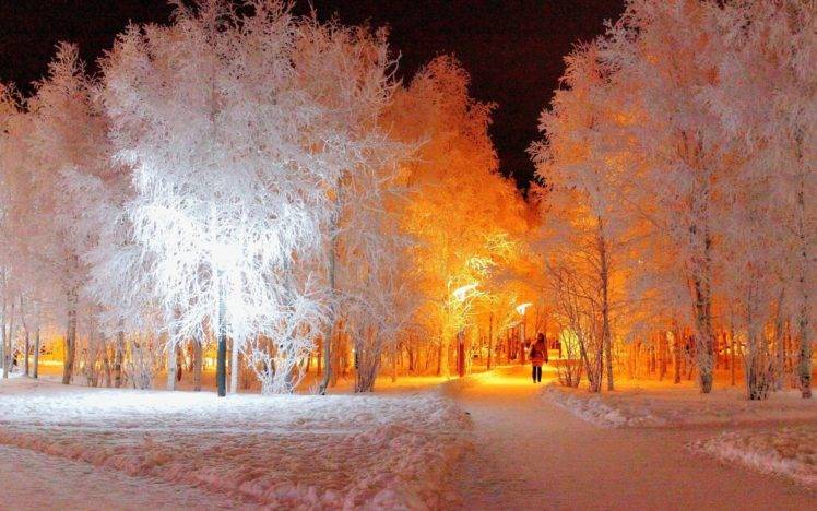 winter, Trees, Snow HD Wallpaper Desktop Background