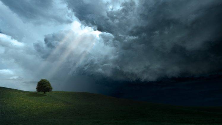 trees, Hill, Sun rays, Plains, Clouds HD Wallpaper Desktop Background