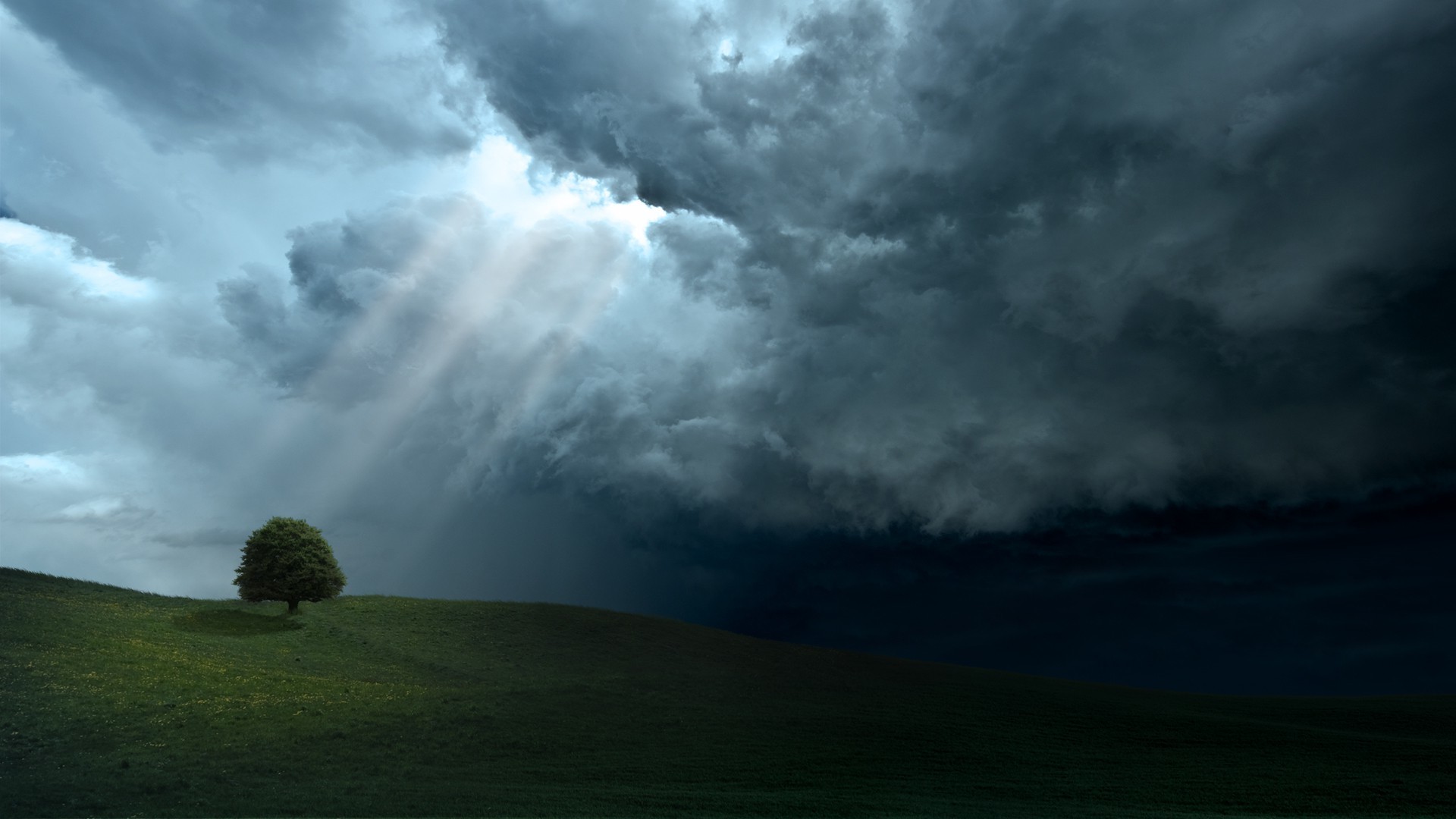 trees, Hill, Sun rays, Plains, Clouds Wallpaper