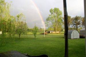 rainbows, Grass