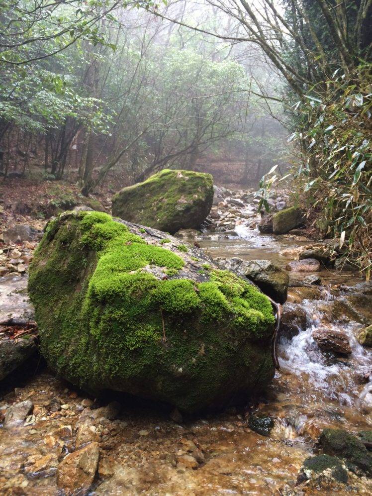 stones, Water, Nature, Trees, Landscape HD Wallpaper Desktop Background