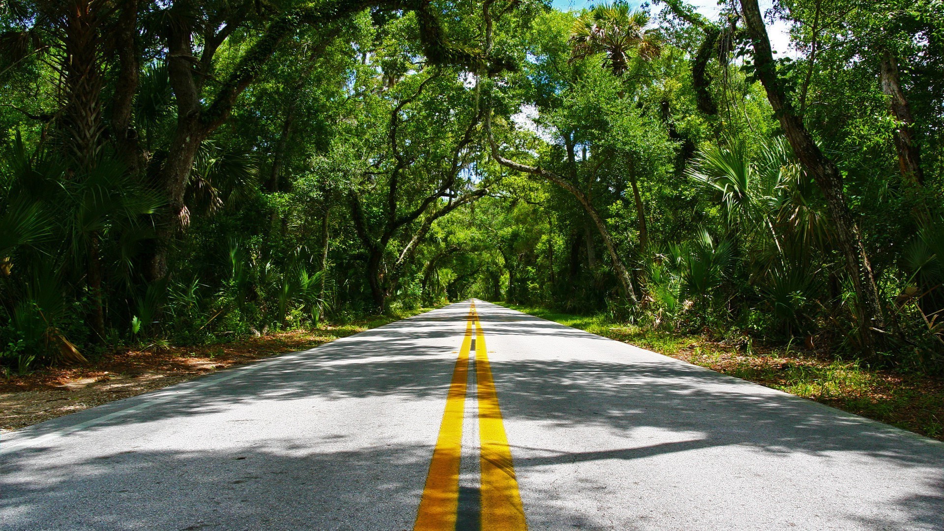 road, Nature Wallpaper