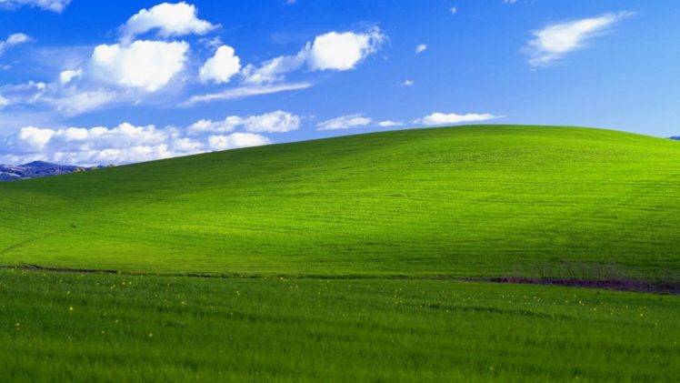 grass, Bliss HD Wallpaper Desktop Background