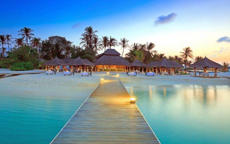 Maldives, Dock, Island, Beach, Palm trees HD Wallpaper Desktop Background
