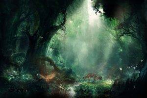 forest, Fawns