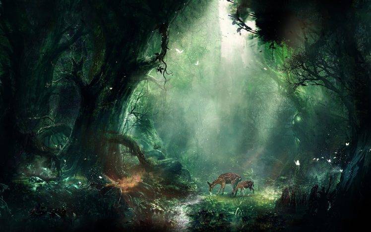forest, Fawns HD Wallpaper Desktop Background