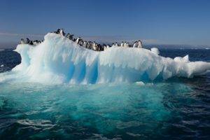 penguins, Iceberg, Ice, Sea