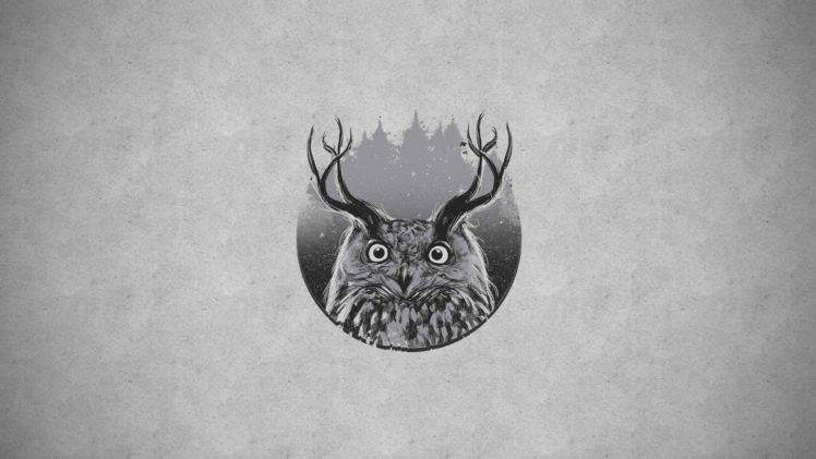owl, Forest HD Wallpaper Desktop Background
