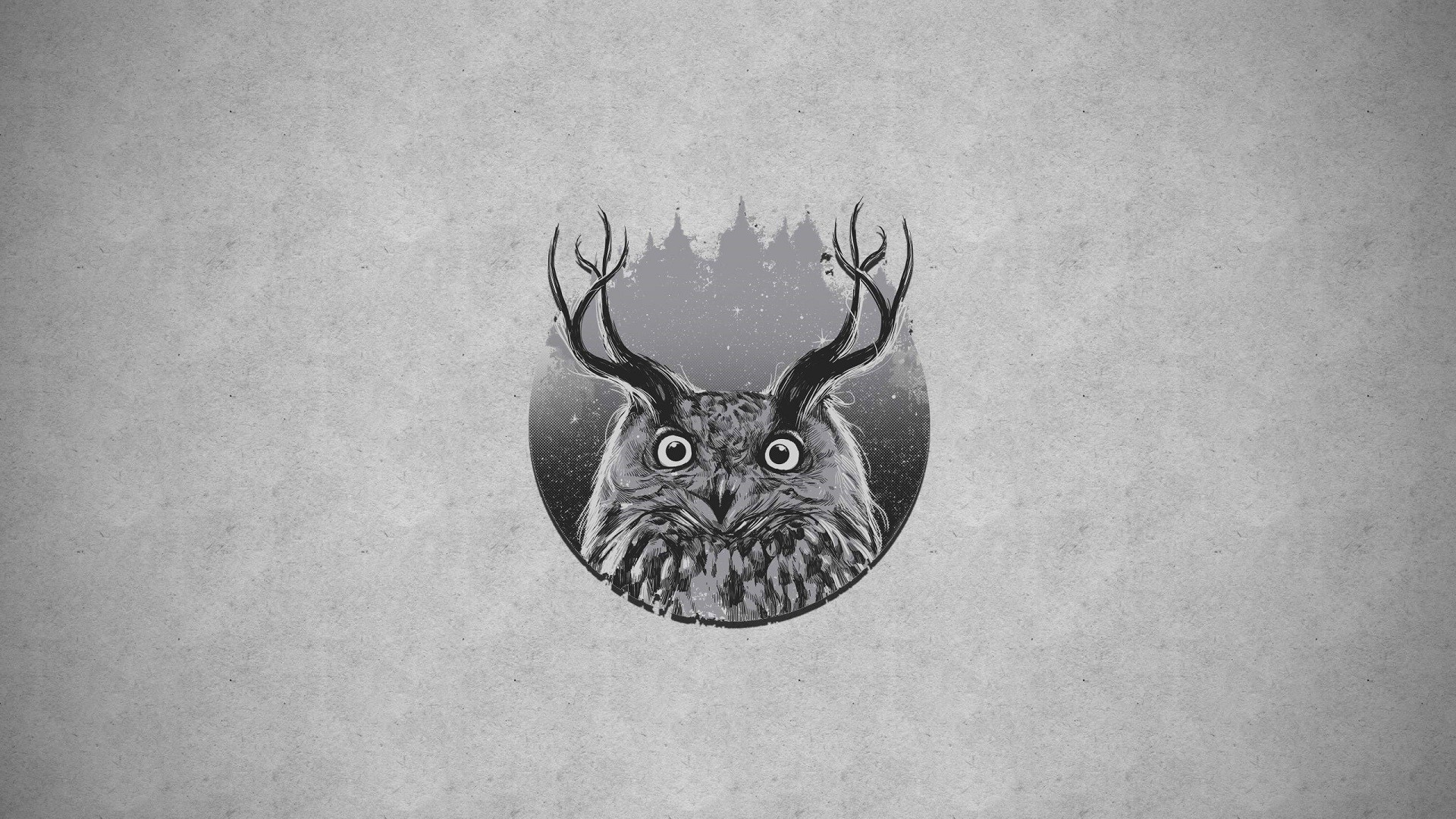 owl, Forest Wallpaper