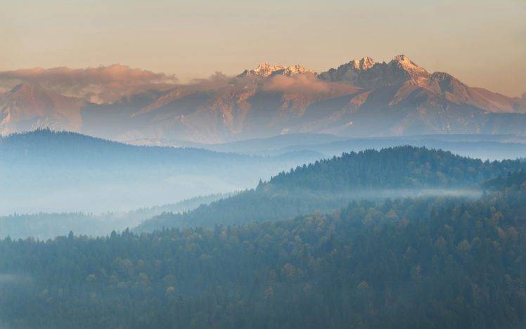 mist, Mountains, Sunset, Forest HD Wallpaper Desktop Background