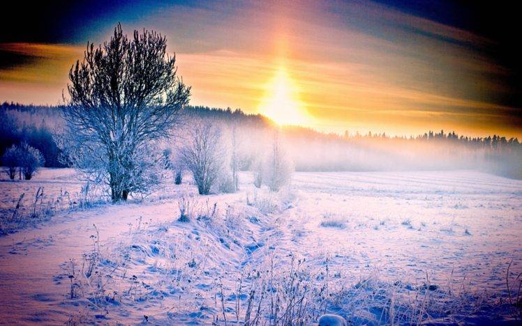 nature, Snow, Sunlight, Winter, Trees HD Wallpaper Desktop Background