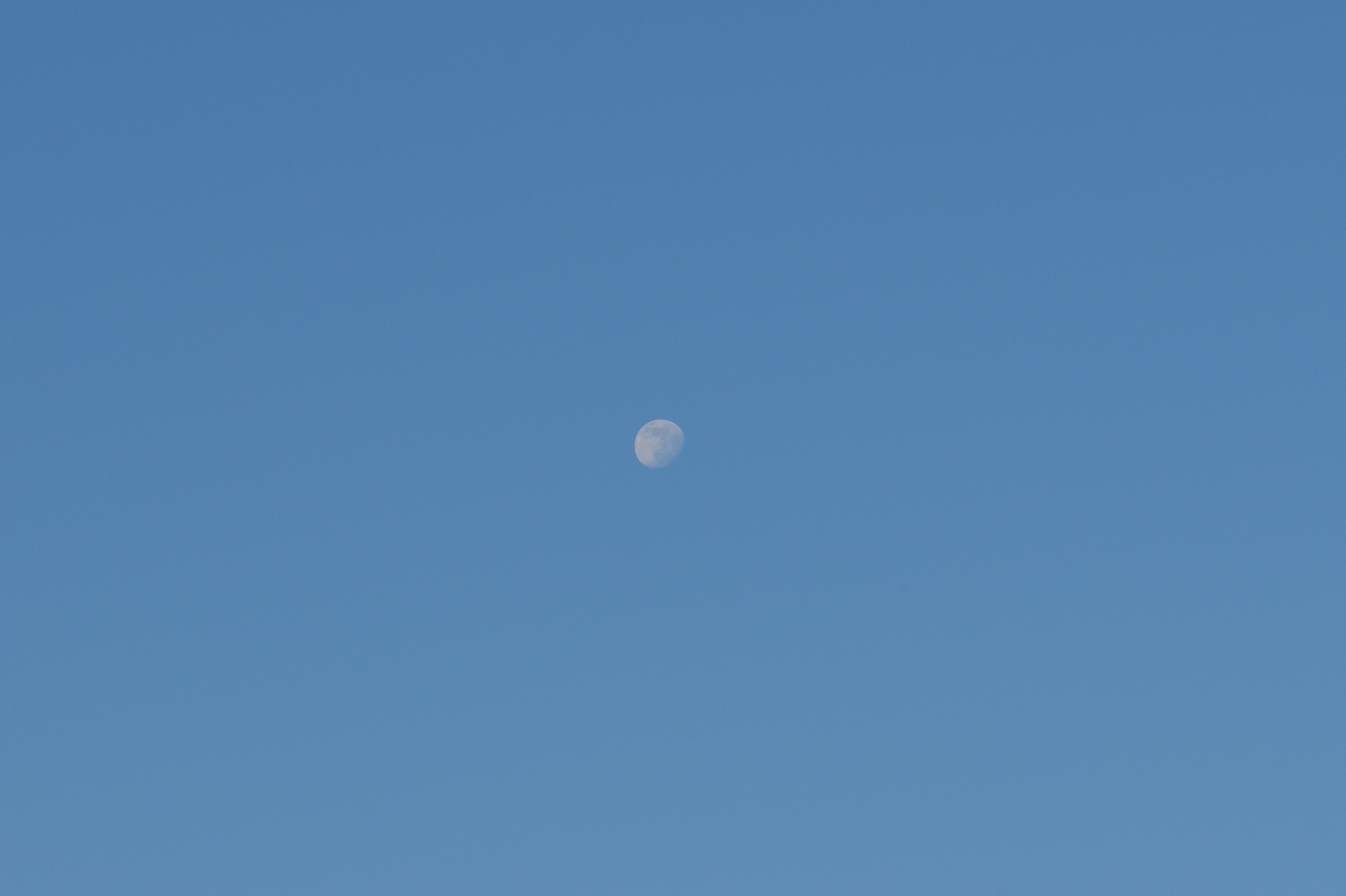 sky, Moon Wallpaper