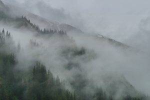 clouds, Mist, Forest, Alaska, Tracy Arm