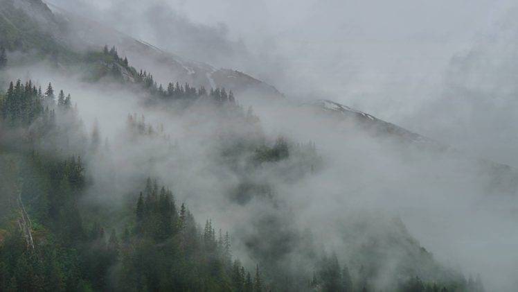 clouds, Mist, Forest, Alaska, Tracy Arm HD Wallpaper Desktop Background