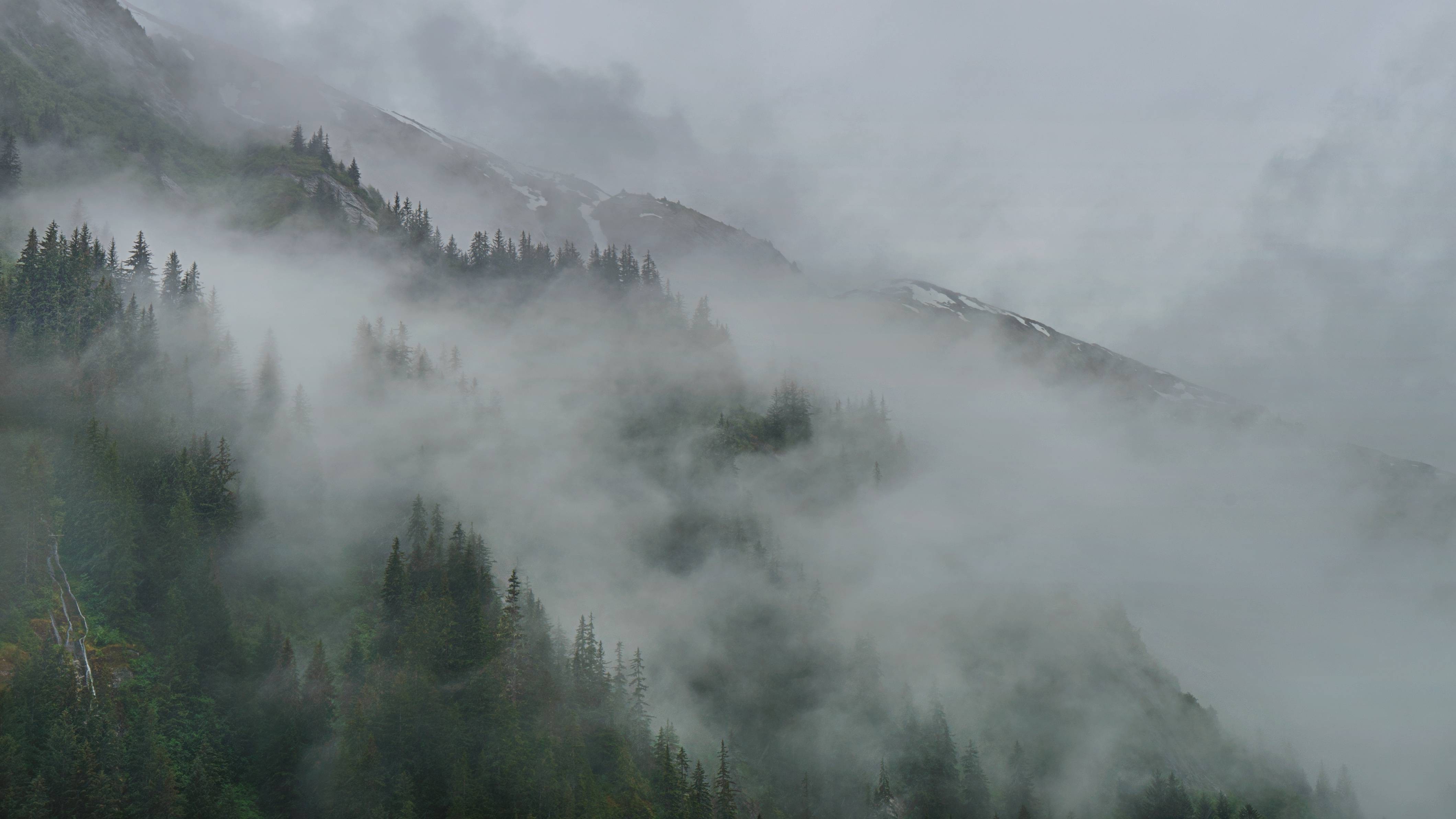 clouds, Mist, Forest, Alaska, Tracy Arm Wallpaper