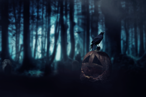 Halloween, Pumpkin, Dark Age, Crow, Forest, Death