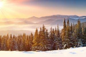 sun rays, Snow, Snowy peak, Mountain, Forest, Winter, Mist