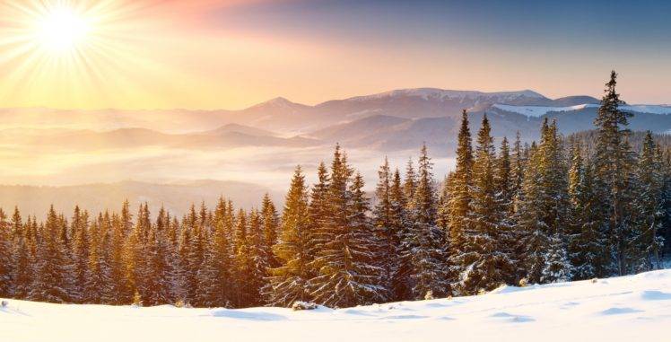 sun rays, Snow, Snowy peak, Mountain, Forest, Winter, Mist HD Wallpaper Desktop Background