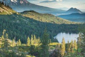 forest, Mount Shasta, California, Heart Lake, Cinder Cone, Mountain, Snowy peak, Clouds