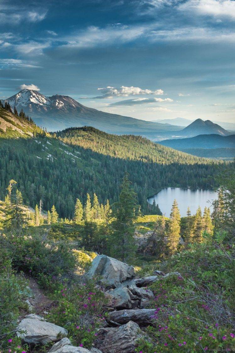 forest, Mount Shasta, California, Heart Lake, Cinder Cone, Mountain, Snowy peak, Clouds HD Wallpaper Desktop Background