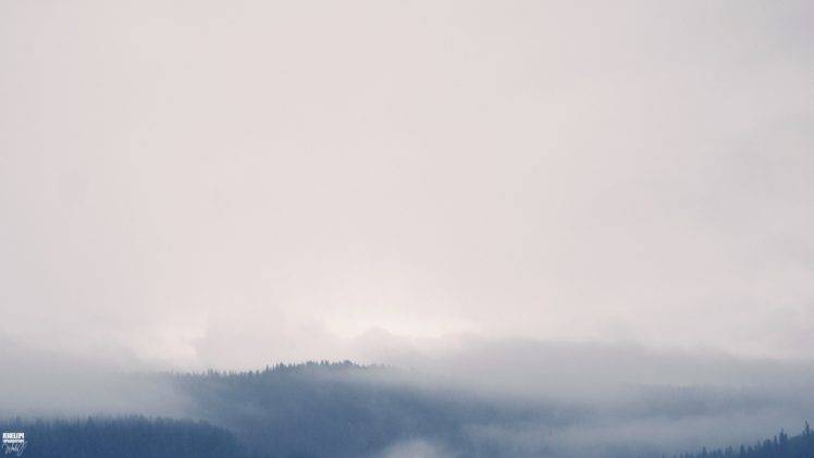 noisy, Mist, Forest, Clouds HD Wallpaper Desktop Background