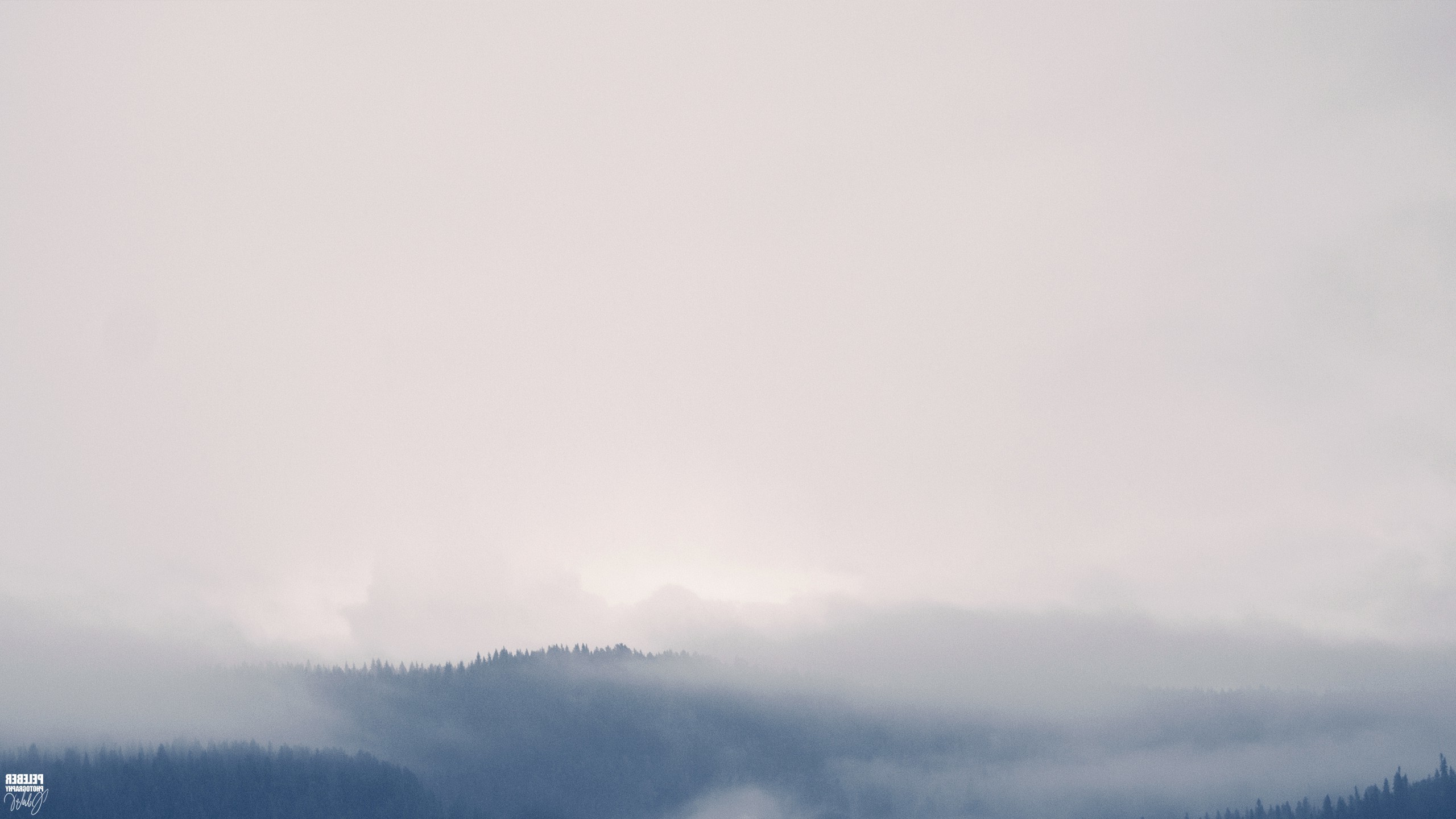 noisy, Mist, Forest, Clouds Wallpaper
