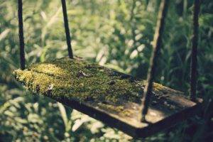 blurred, Photography, Wood, Grass, Sunlight, Swings