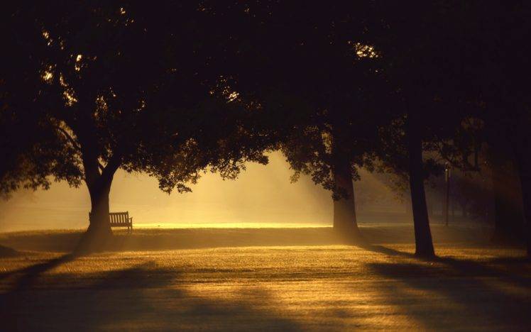 trees, Sunlight, Mist, Photography, Bench, Sunset HD Wallpaper Desktop Background