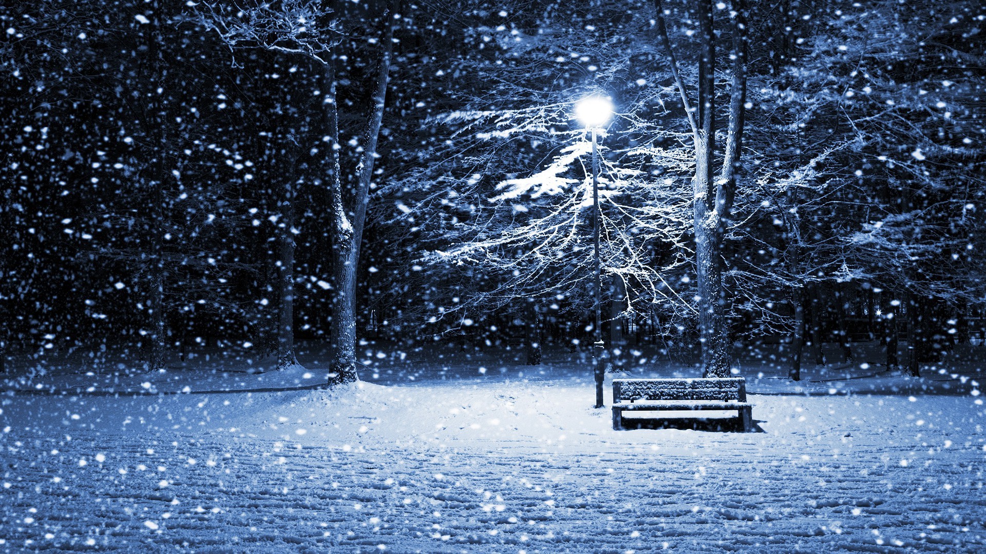 snow, Winter Wallpaper